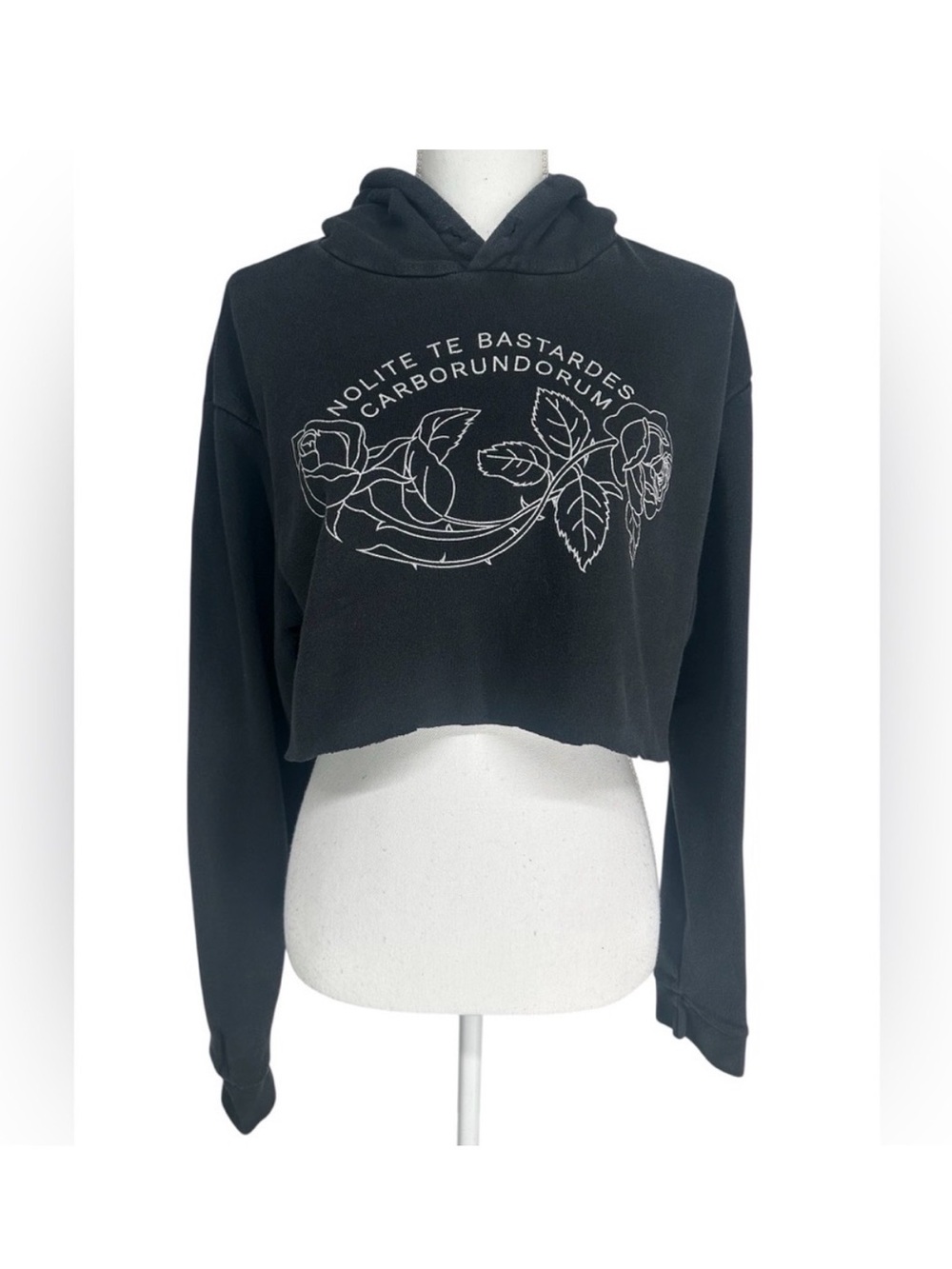 BOREDWALK / Handmaid’s Tale DYI Crop Hoodie / Large 🥀